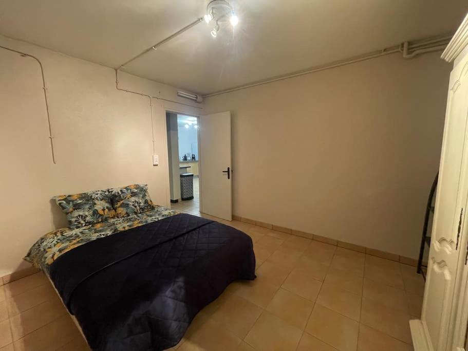 Appartement Independant En Rdc Chez Habitant Lannemezan Dış mekan fotoğraf